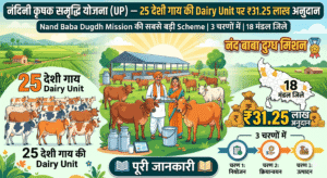 नंदिनी कृषक समृद्धि योजना