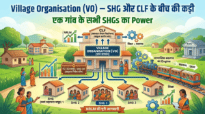 Village Organisation (VO)