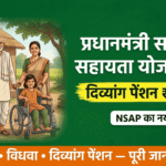 प्रधानमंत्री सामाजिक सहायता योजना (NSAP) 2026: दिव्यांग पेंशन ₹375/माह, 40% नियम और 5 योजनाओं के नए नाम प्रधानमंत्री सामाजिक सहायता योजना
